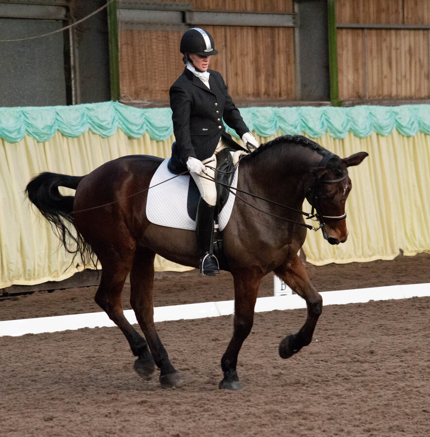Askham Bryan Dressage 2014